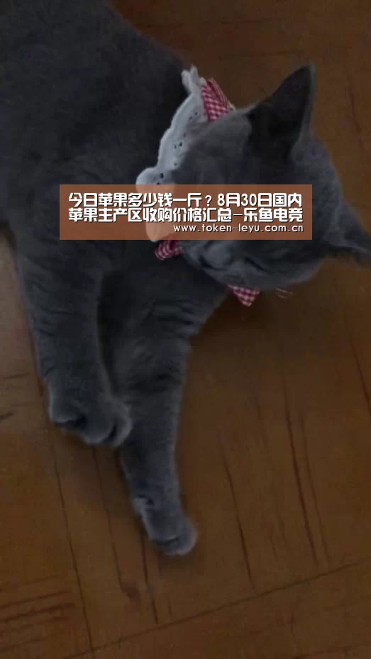 今日苹果多少钱一斤？8月30日国内苹果主产区收购价格汇总-乐鱼电竞
