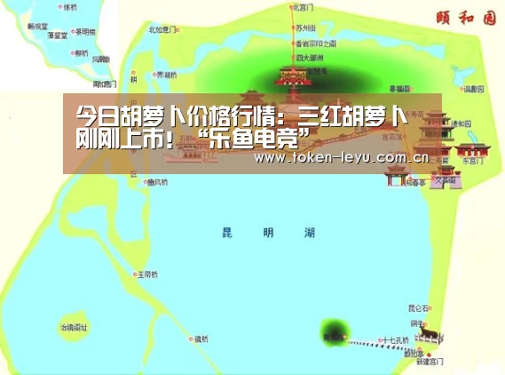 今日胡萝卜价格行情:三红胡萝卜刚刚上市!“乐鱼电竞”(图2) 乐鱼体育登录入口