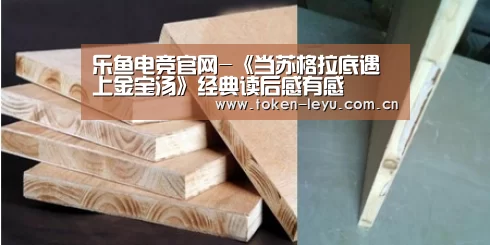 乐鱼电竞官网-《当苏格拉底遇上金宝汤》经典读后感有感