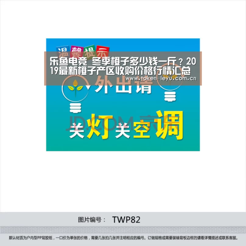 乐鱼电竞leyu
