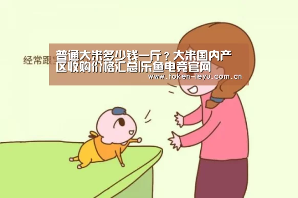 普通大米多少钱一斤？大米国内产区收购价格汇总|乐鱼电竞官网