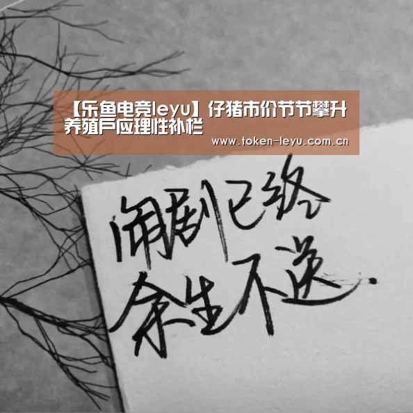 【乐鱼电竞leyu】仔猪市价节节攀升养殖户应理性补栏